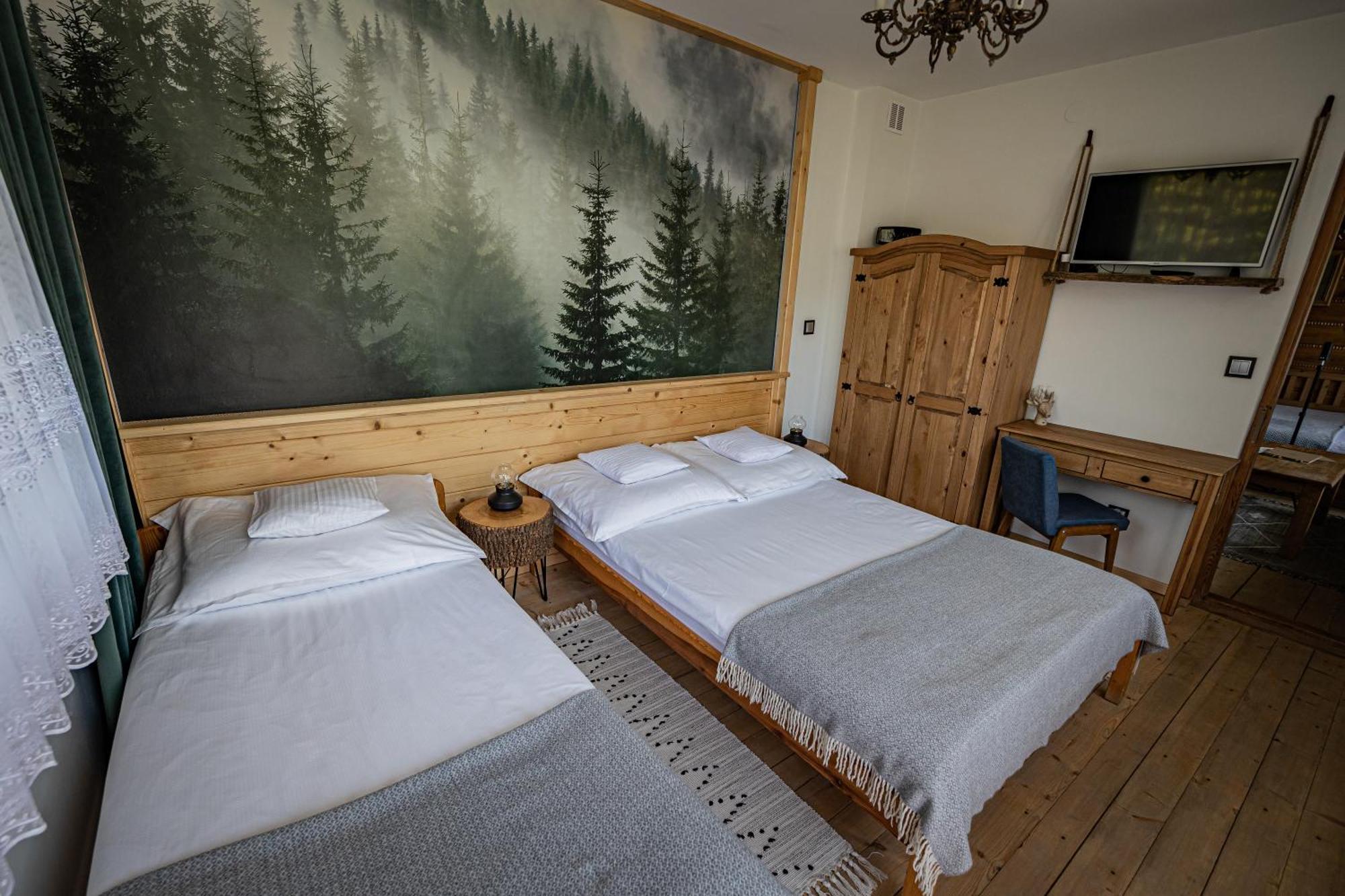Zacisze Pod Reglami & Sauna Zakopane Buitenkant foto